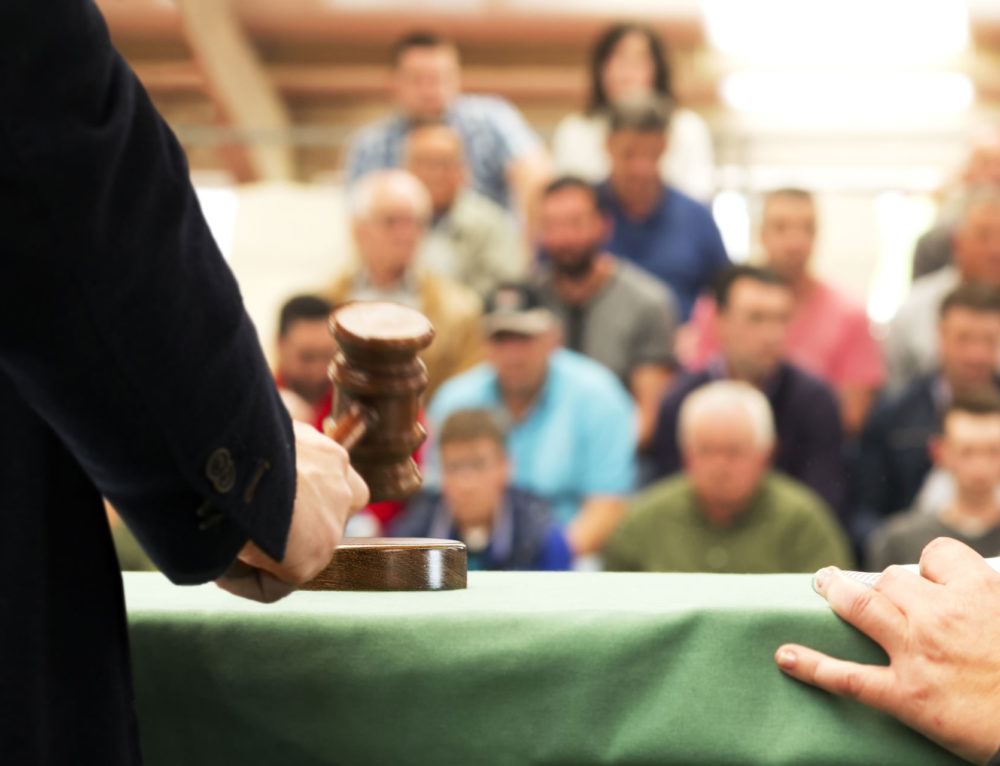 Valuation Reports The Different Types and When you May Need Them