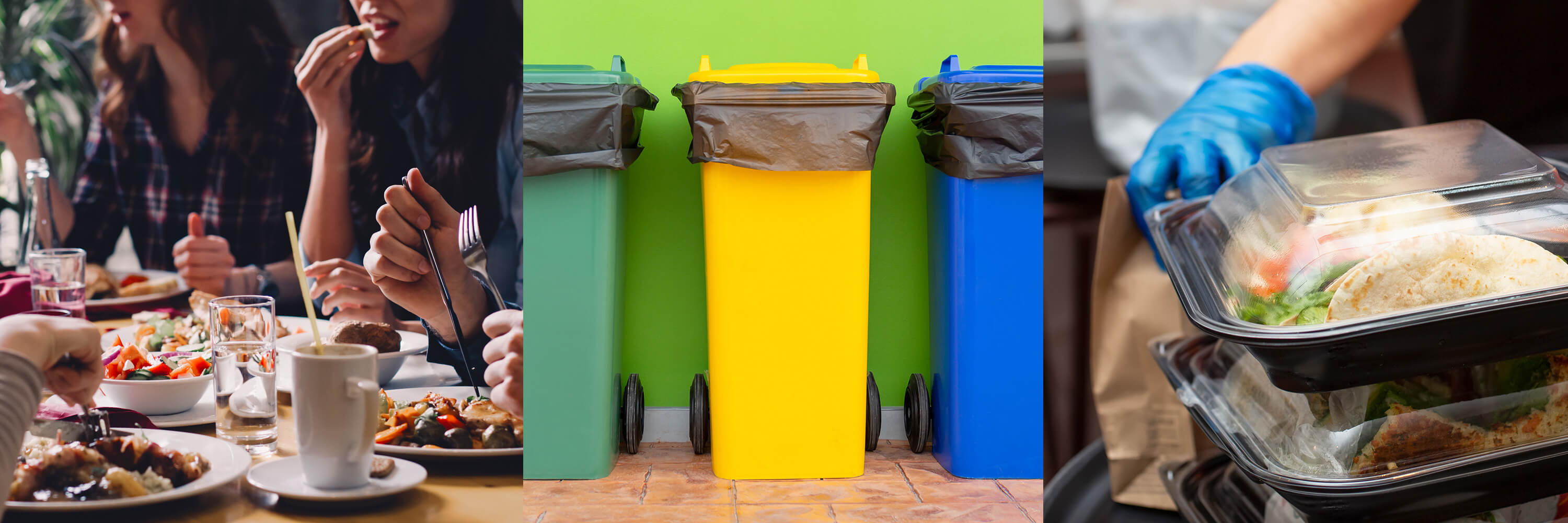 GUEST BLOG Contaminated Food Scraps Bins? Ask These Three Questions to