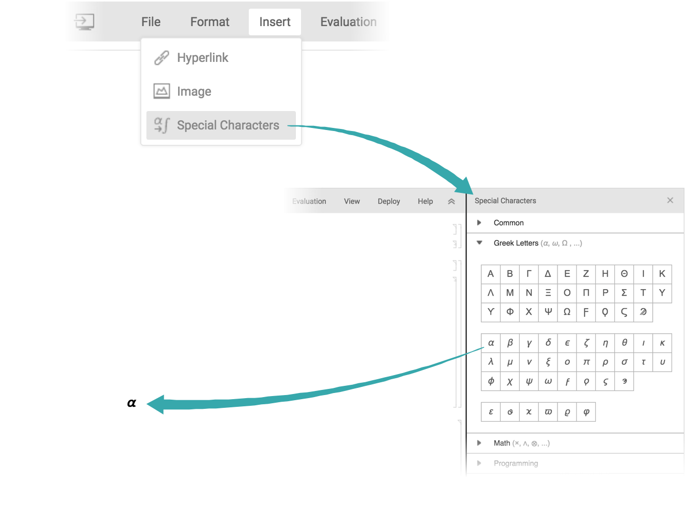 Enter Special Characters—Wolfram Language Documentation