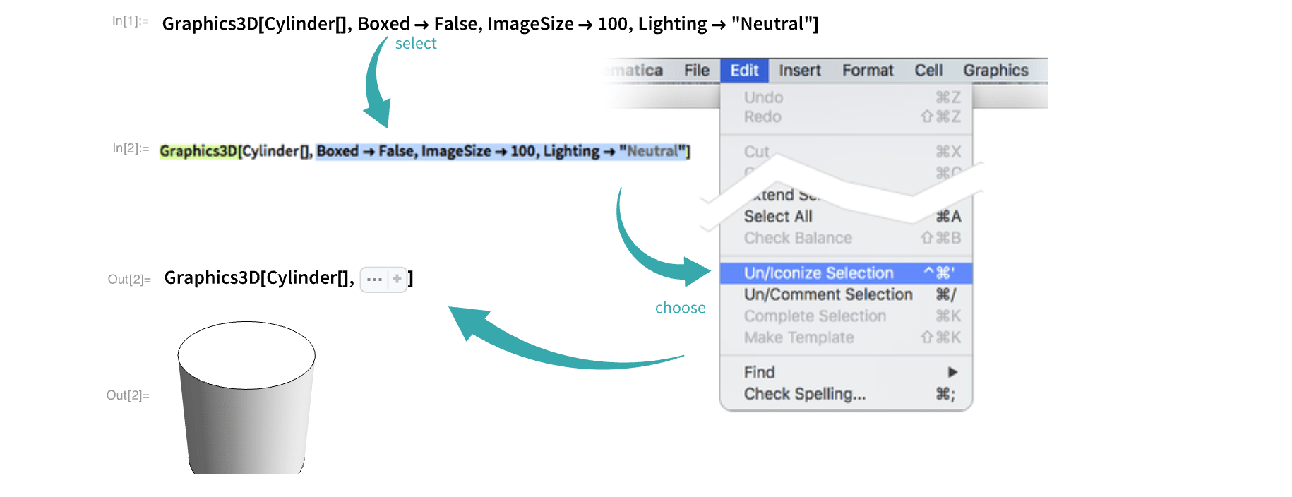 Shorten Long Inputs with Iconize—Wolfram Language Documentation