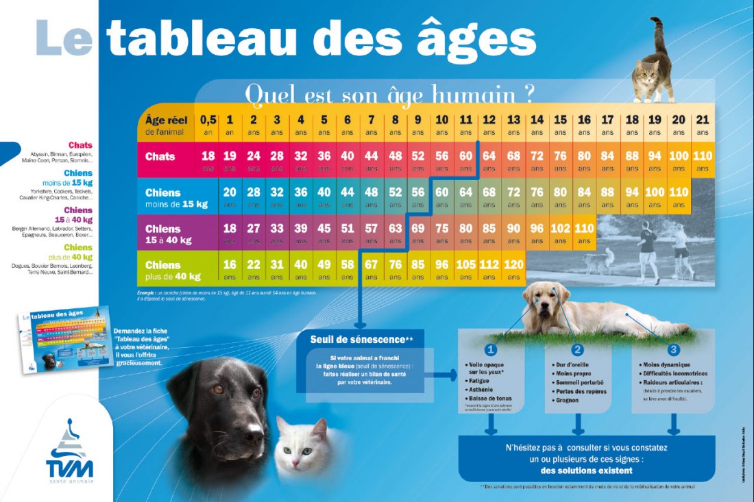 Comment trouver l age d un chien