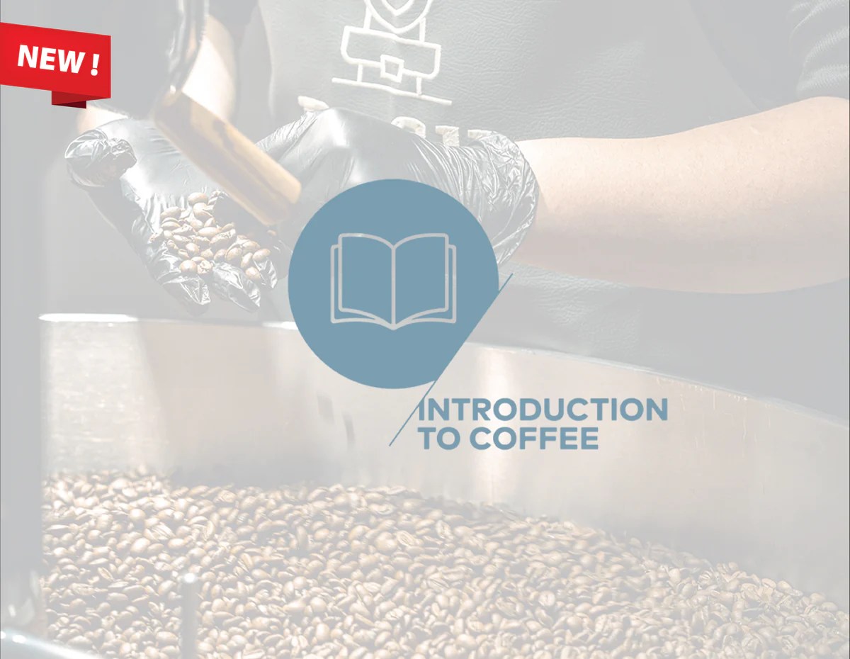 Introduction to Coffee (SCA) Refill Roastery LLC