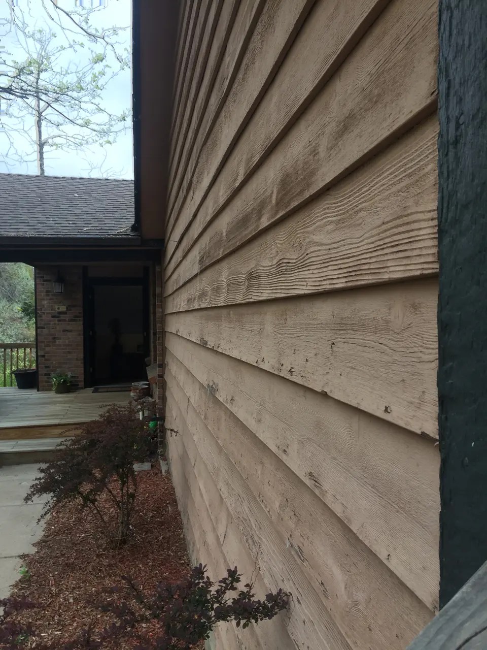 WoodpeckerDamaged Siding Replaced Centennial, CO Refined Exteriors