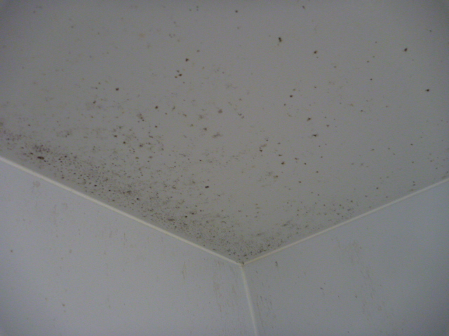 ユニットバス天井　前