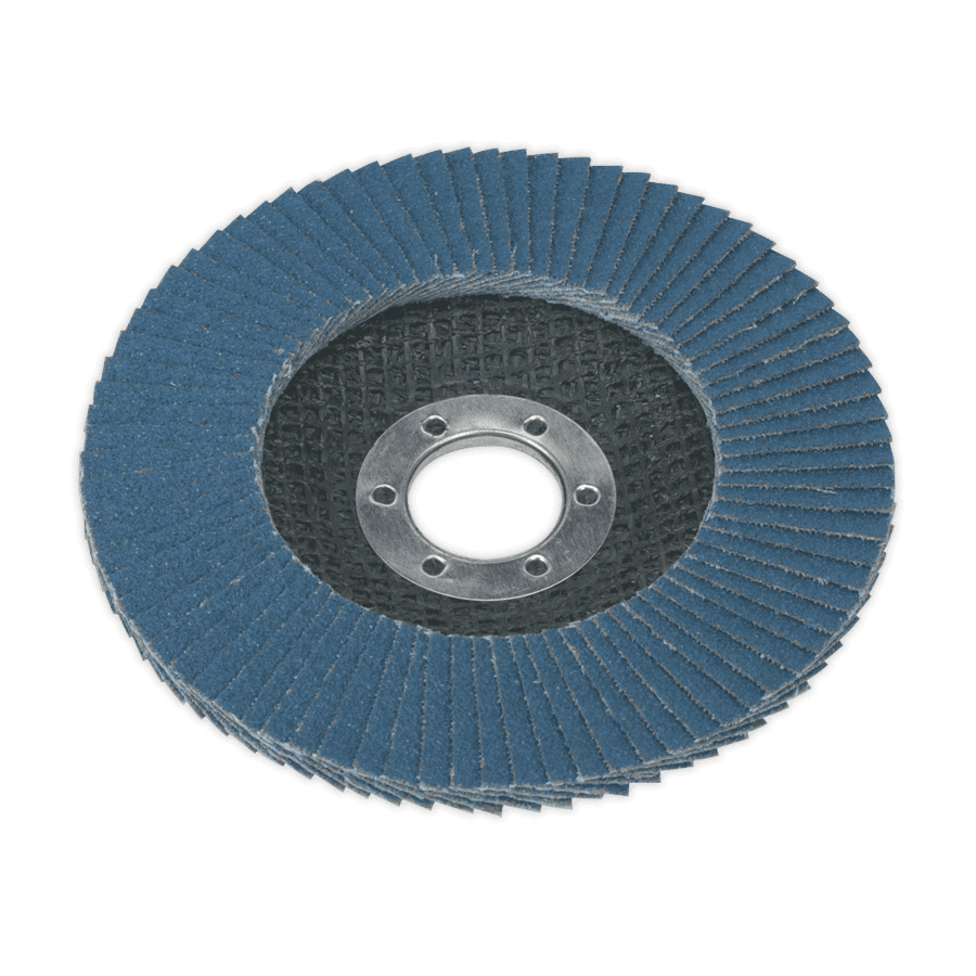 Abracs Angle Grinder Flap Discs Refinish Systems Ltd