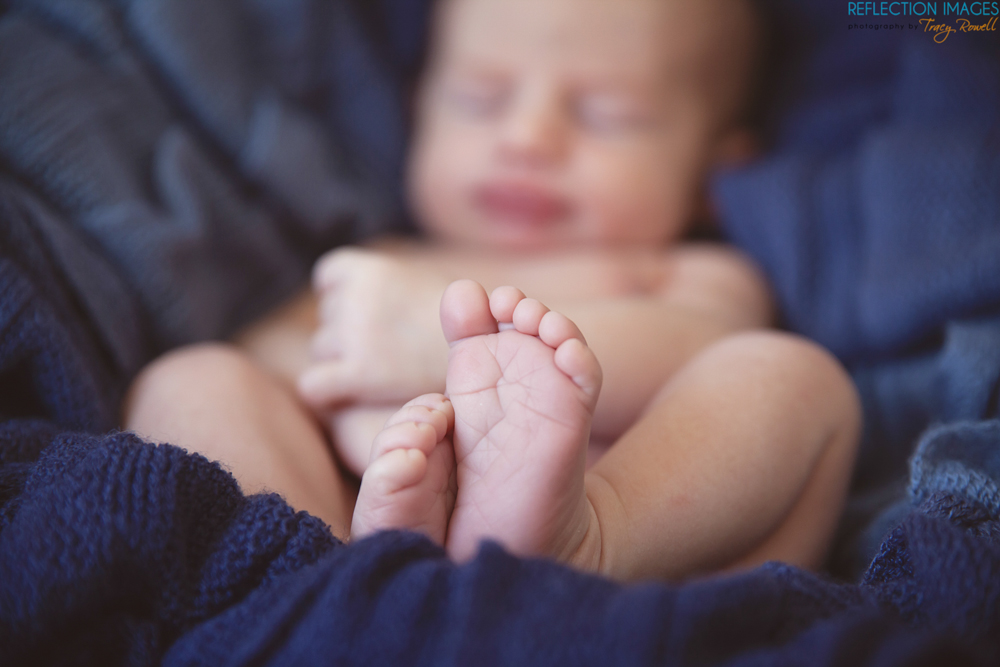 Lincoln Belly to Baby Florence SC Newborn Photographer