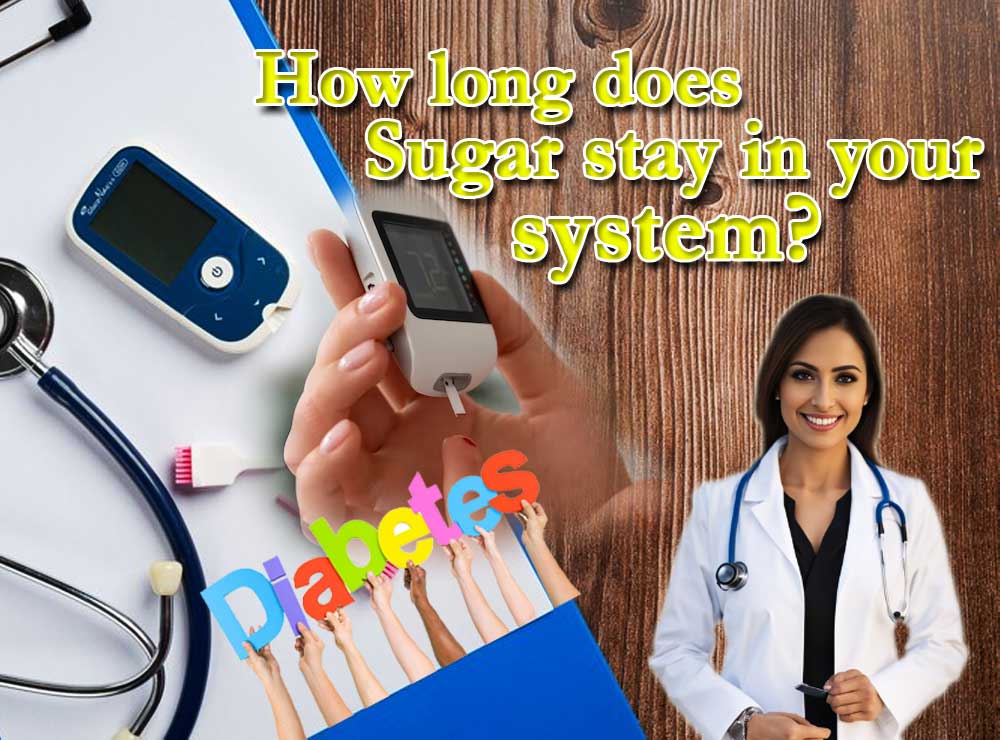 How long does sugar stay in your system after eating? Reflective Thoughts