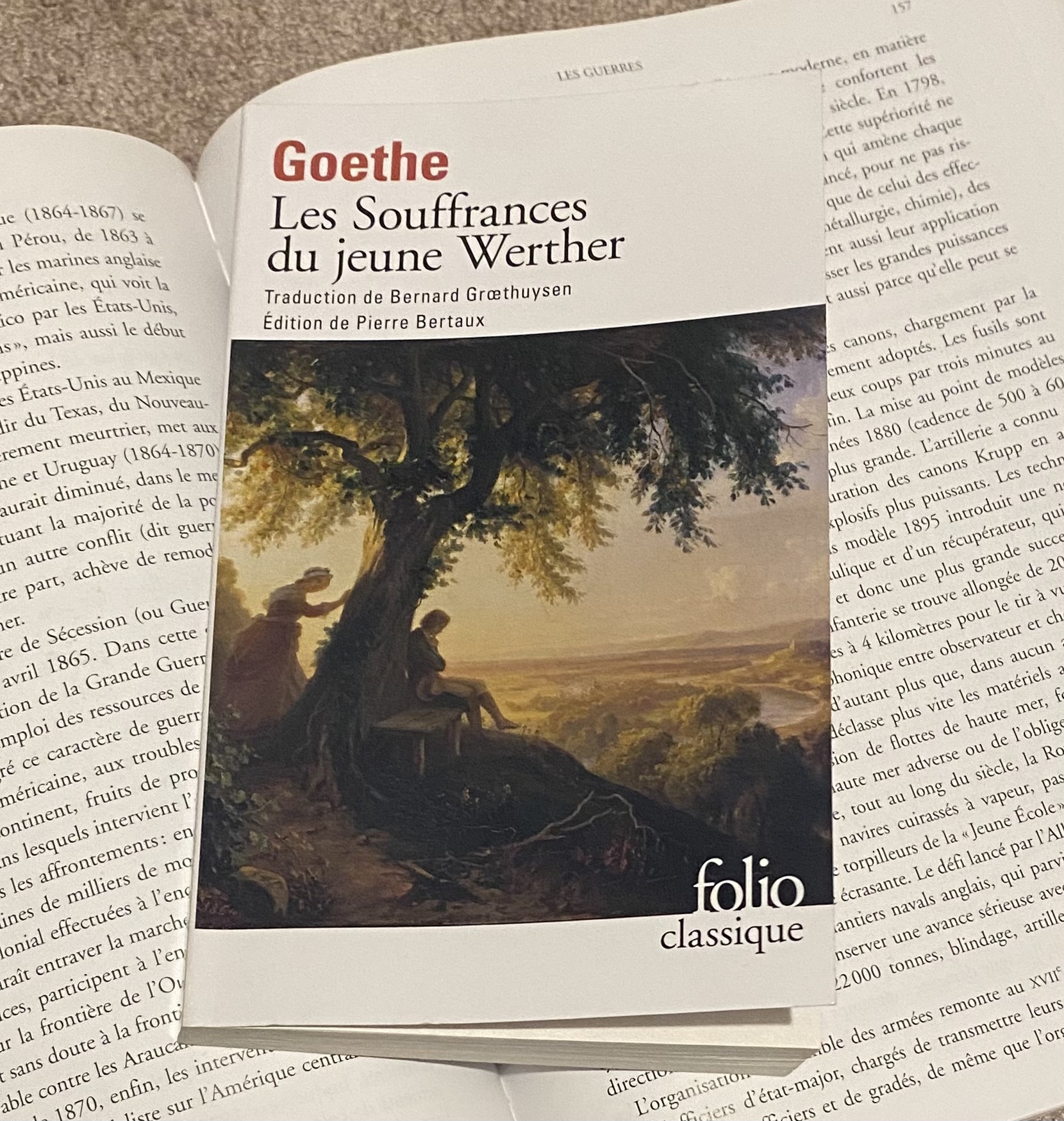 Les souffrances du jeune Werther de Goethe Adventure Time