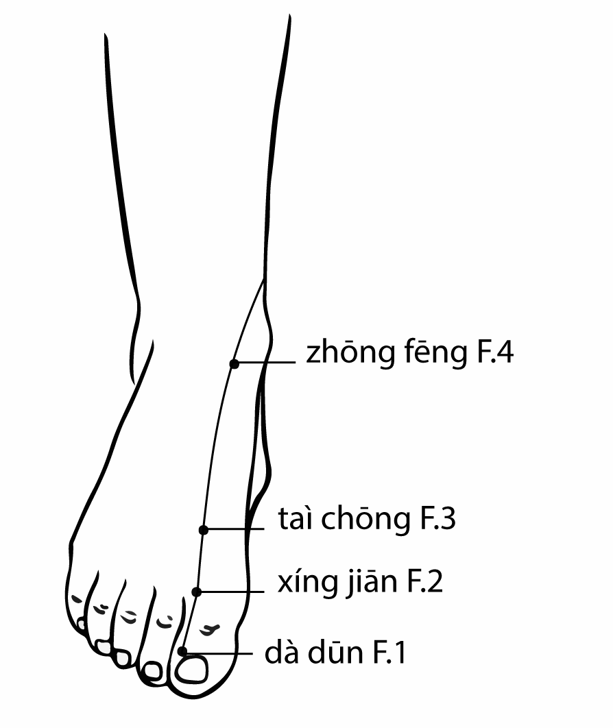Reflexo Acupuncture Point Zhongfeng Liv4