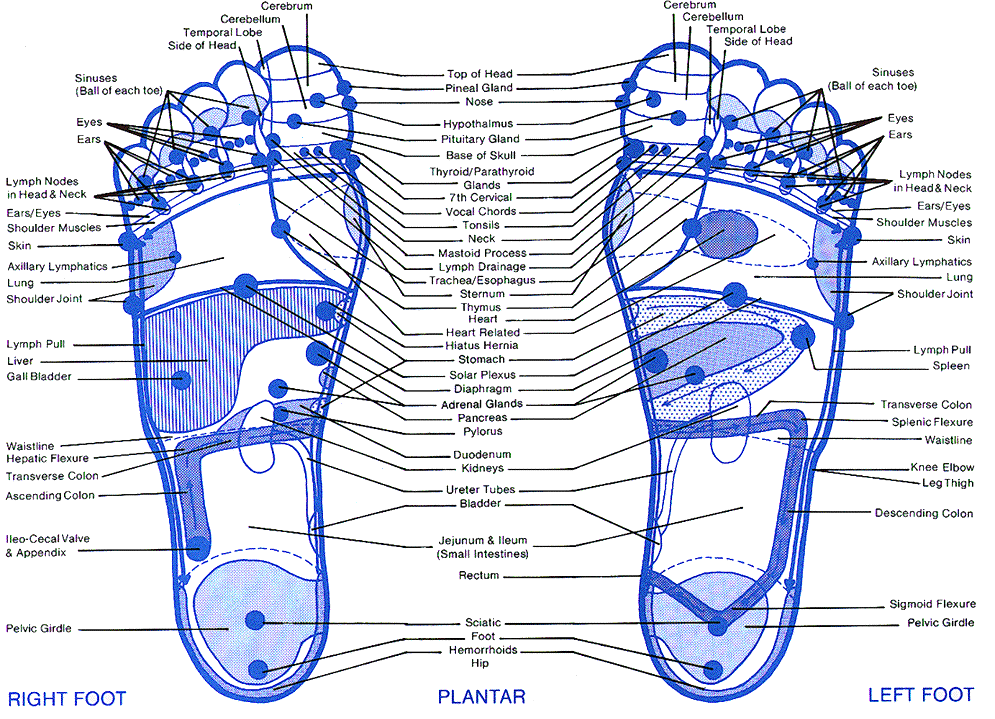 [DIAGRAM] Diagram Foot Pain Locations