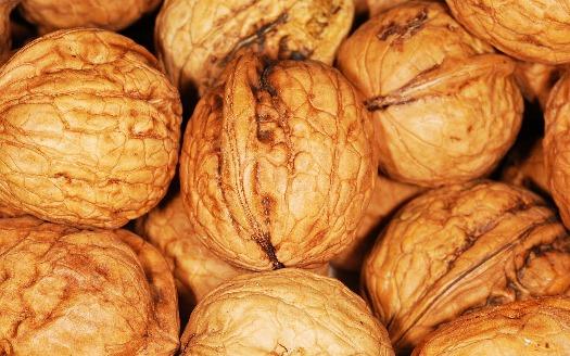 manger des noix en quelle saison ? Santé / Bien être