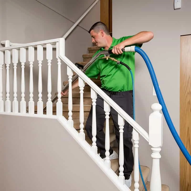 Vancouver Carpet Cleaning Services by the Experts at Refresh