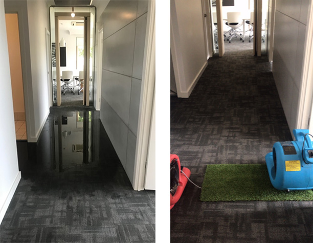Emergency Wet Carpet Cleaning Sydney Brisbane and the Gold Coast
