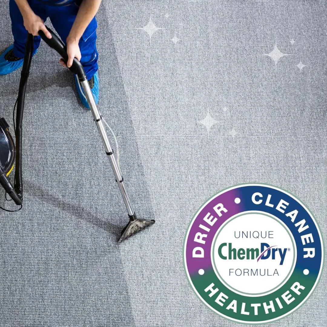 Services We Offer Refresh Carpet Cleaning