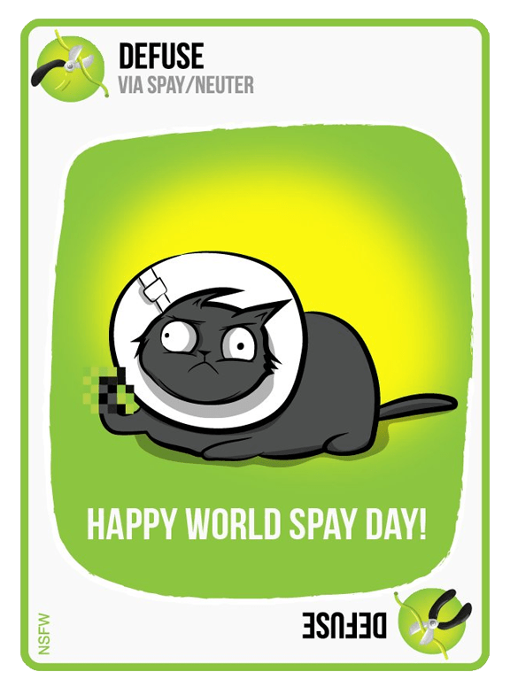 Exploding Kittens Card Game Review Refresh Play