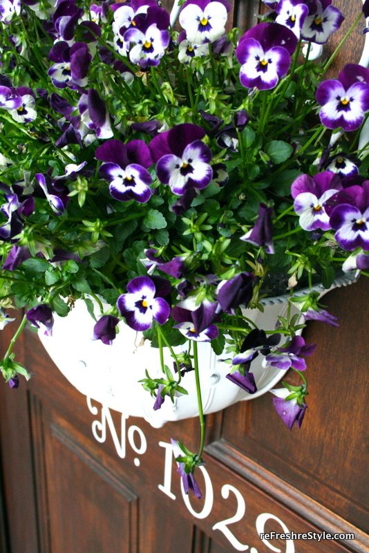 Front Door Flowers Refresh Restyle