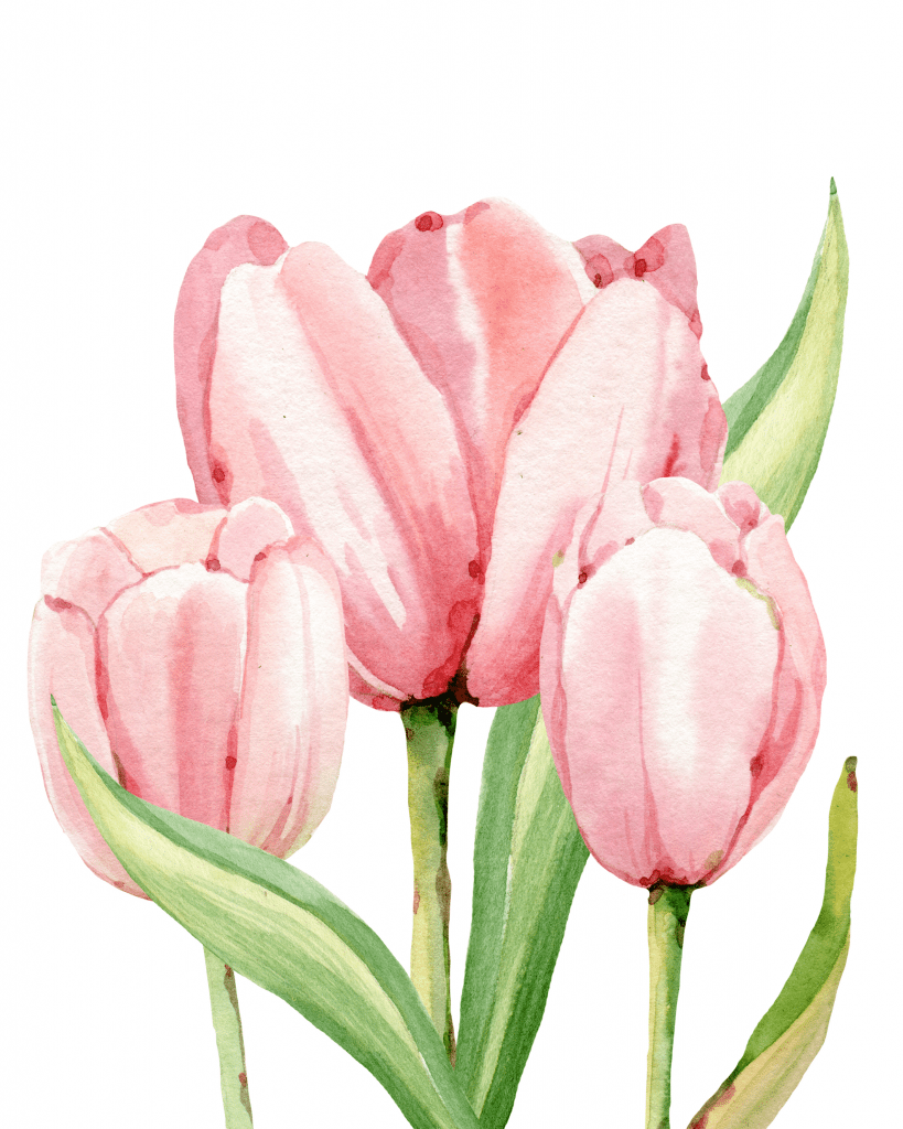Watercolor Tulips Free Print Refresh Restyle