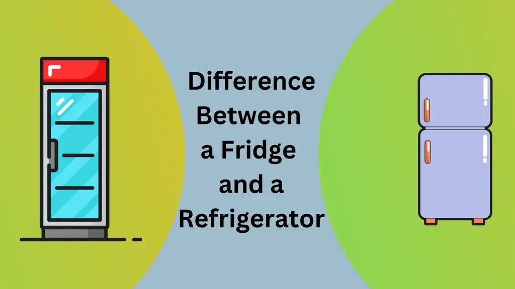 Refrigerator vs Fridge Understanding the Key Differences