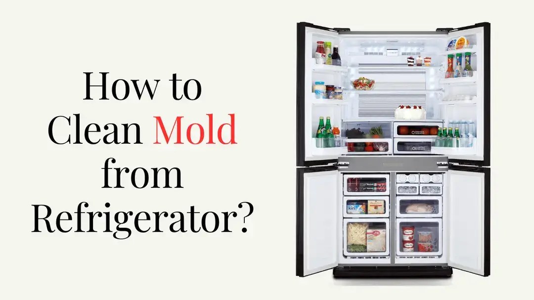 How to Clean Mold from Refrigerator? Ultimate Guide