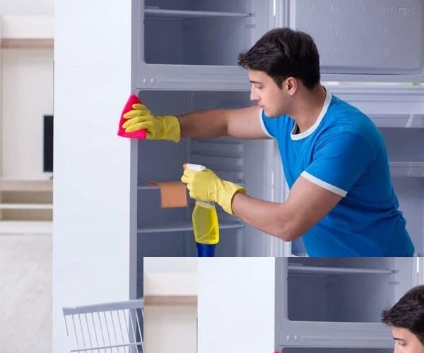 How to Clean a Bug Infested Refrigerator? Clean Gunk