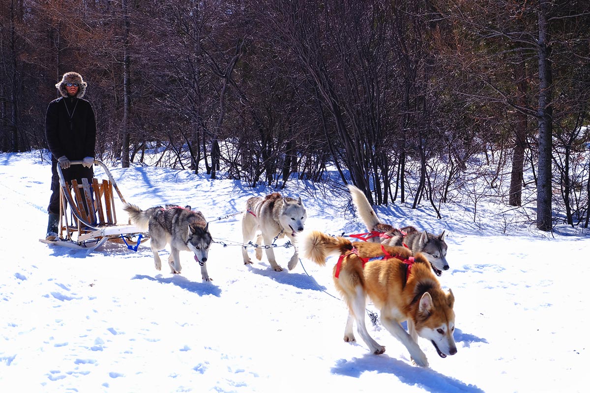 Où faire du chien de traineau et de la motoneige au Québec