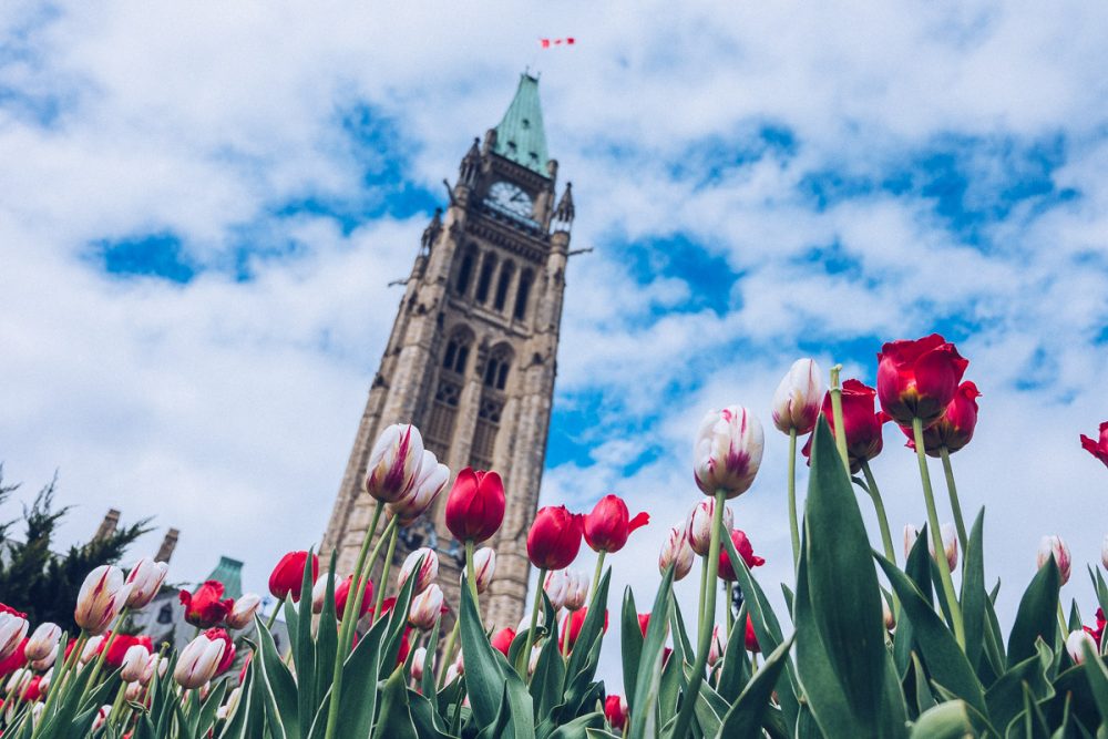 Visiter Ottawa que faire et voir en une journée ? Refuse to hibernate