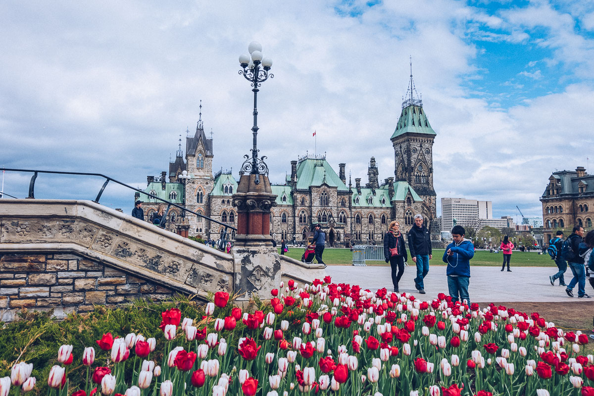 Visiter Ottawa que faire et voir en une journée ? Refuse to hibernate