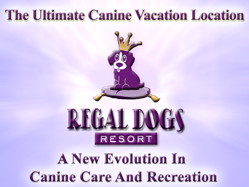 Regal Dogs Resort Canine Boarding & Daycare Main Menu