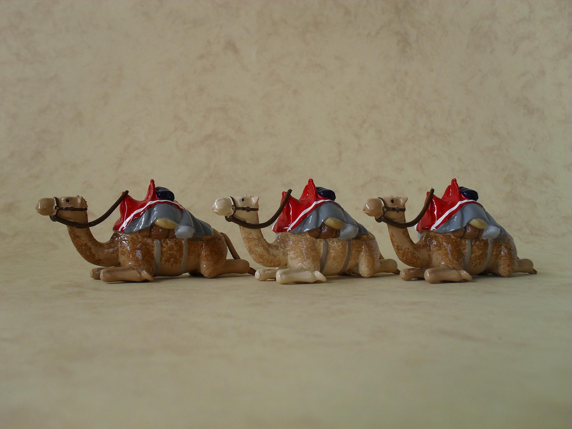 SC36 Camel Corps (Camels) Regal Toy Soldiers