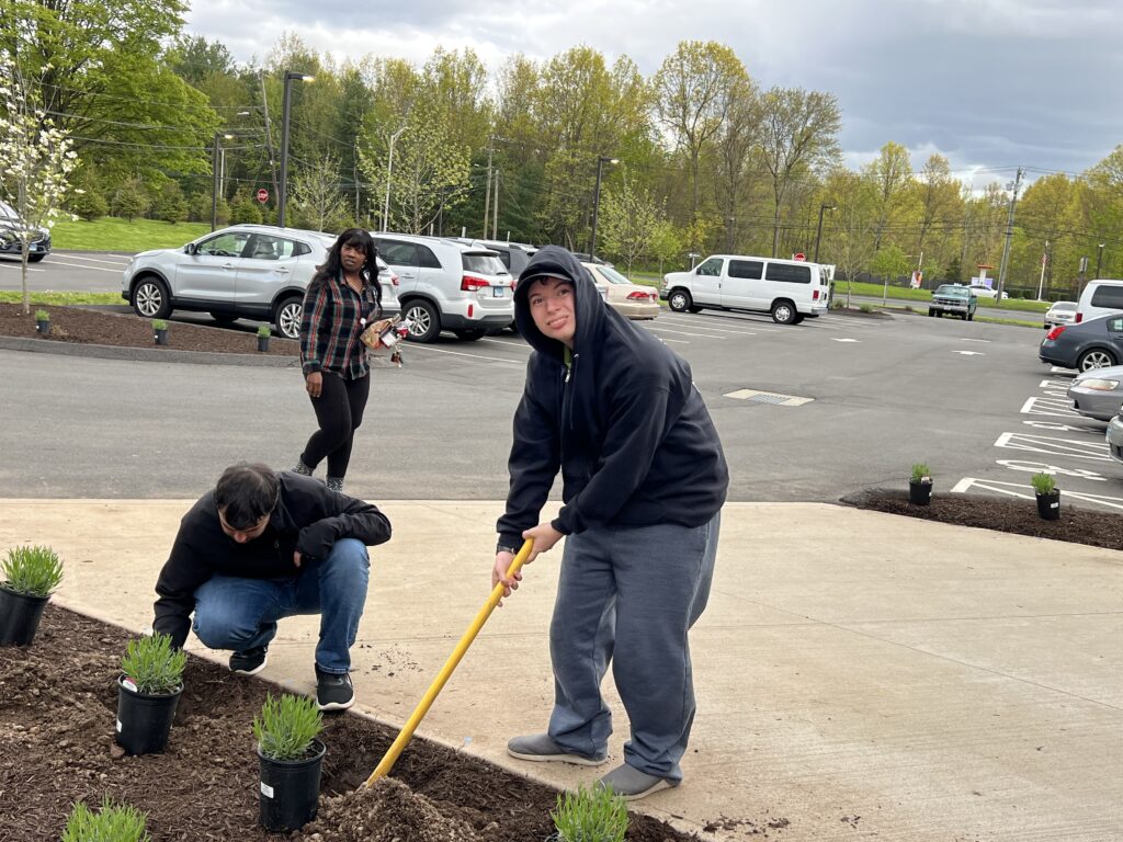 Lavender Comes to Lavender Field Regan Development Corp