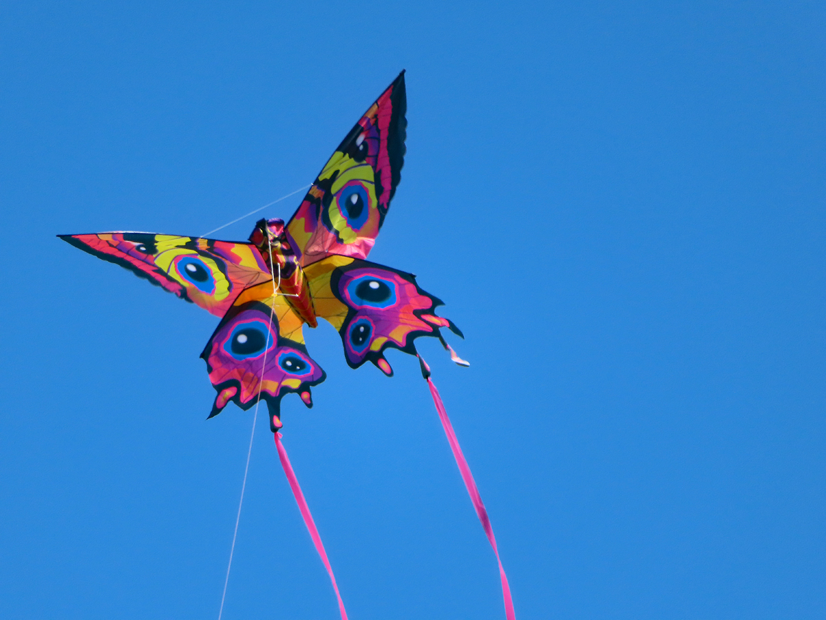 Butterfly Kite RegenAxe