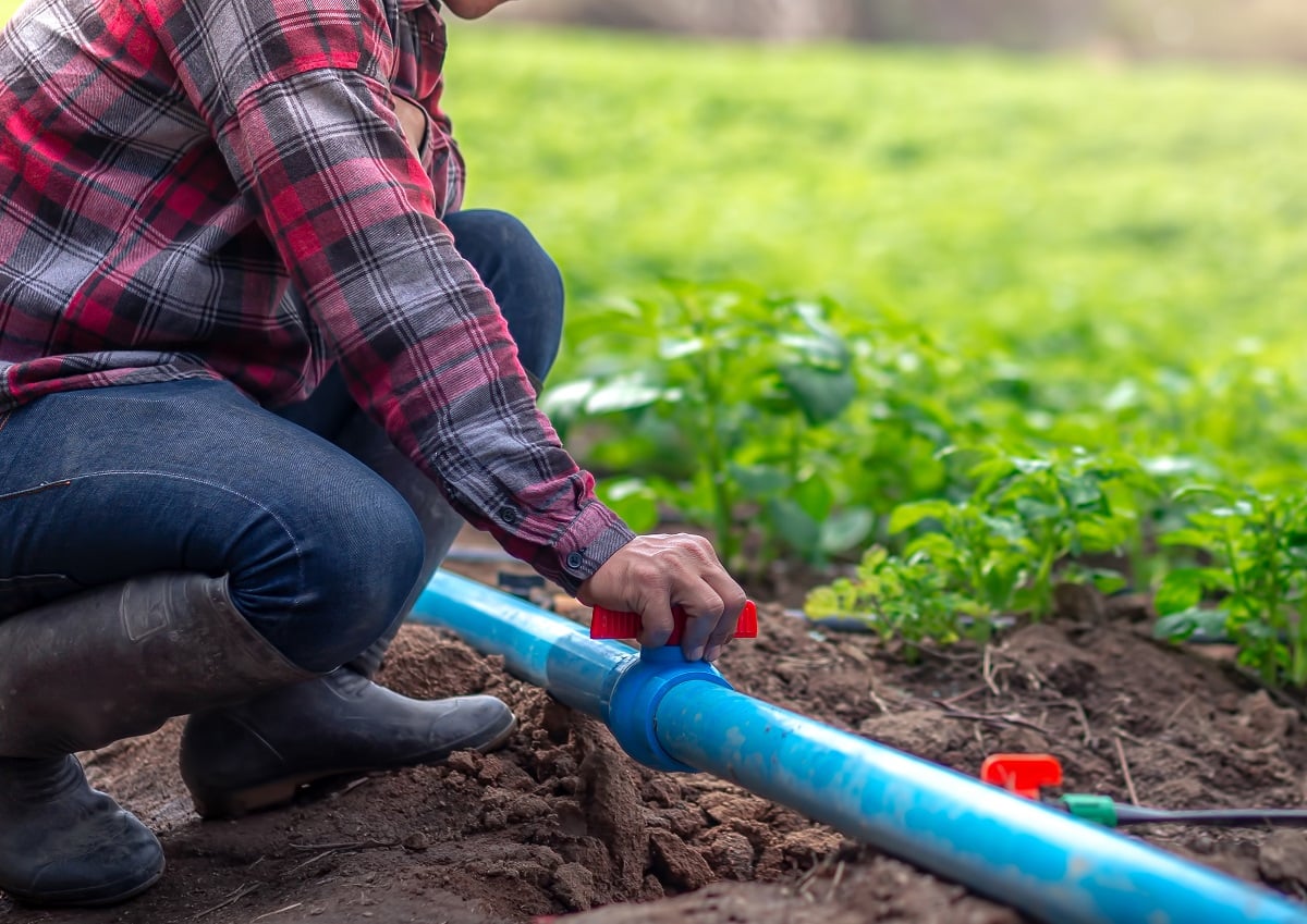 Soil Pipe Unblocking Brighton, Survey & Repair Specialist Regency