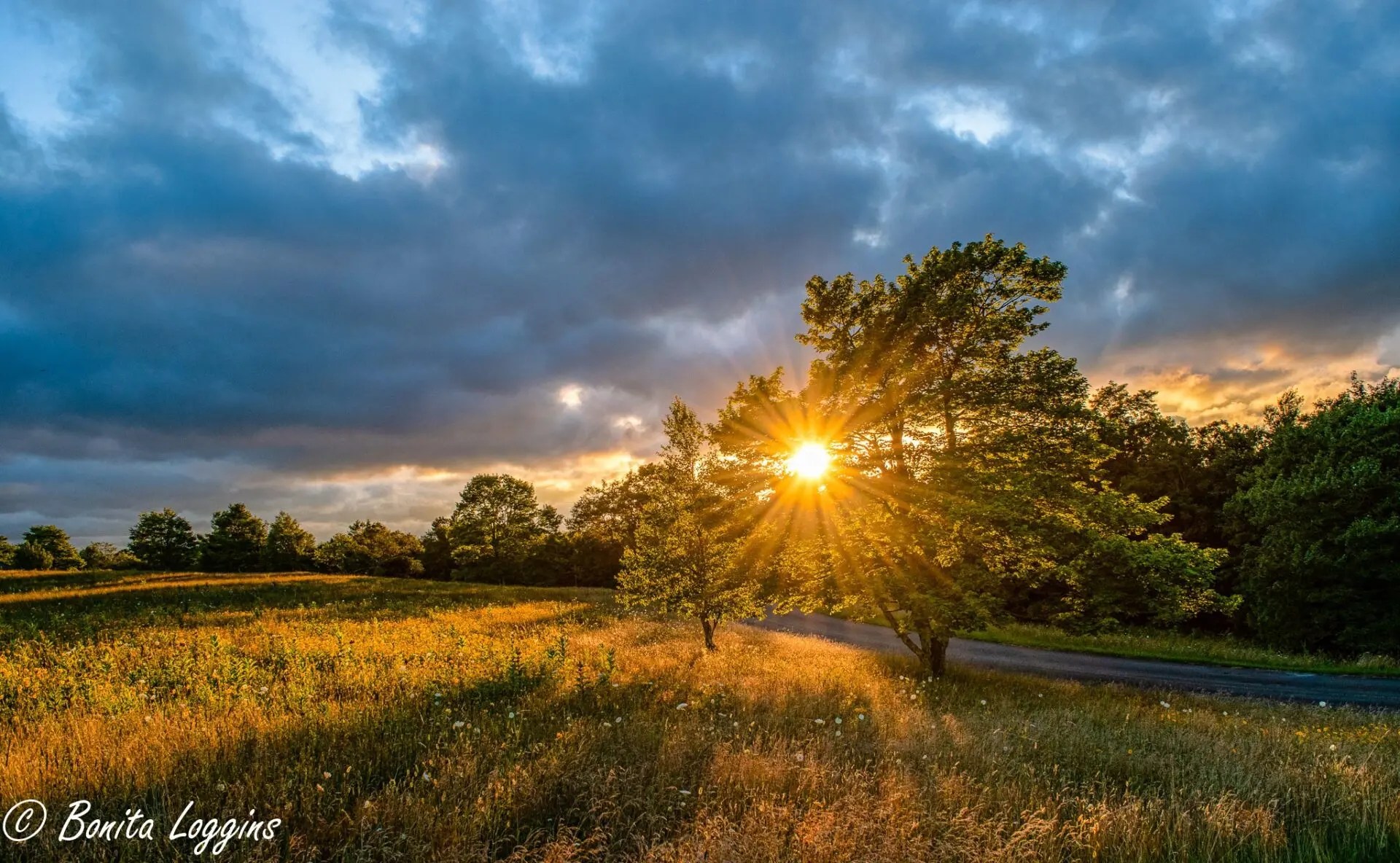 Regency Properties West Jefferson NC Homes for Sale