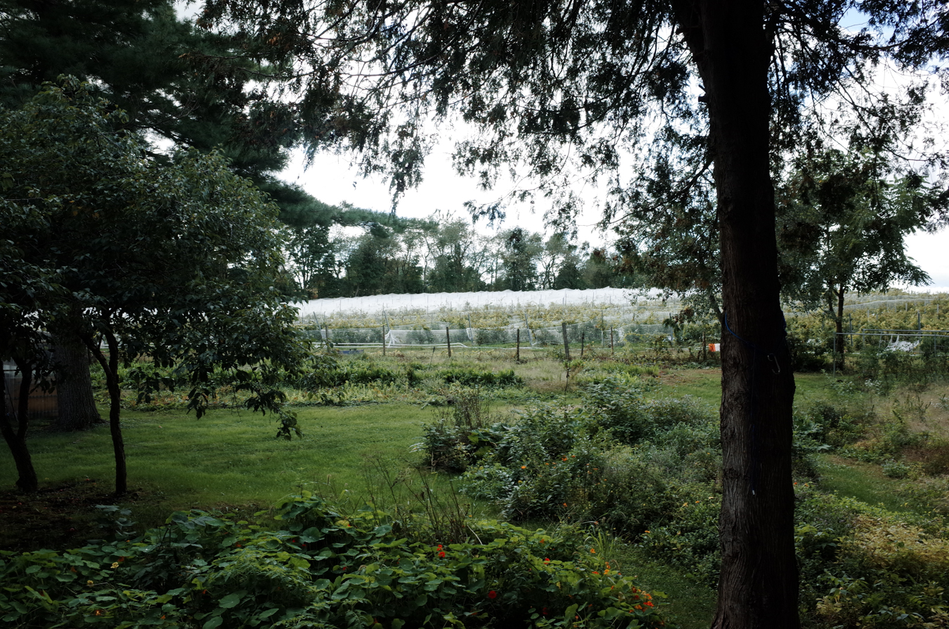 Hayfield Farm Régénération Canada Farm Map