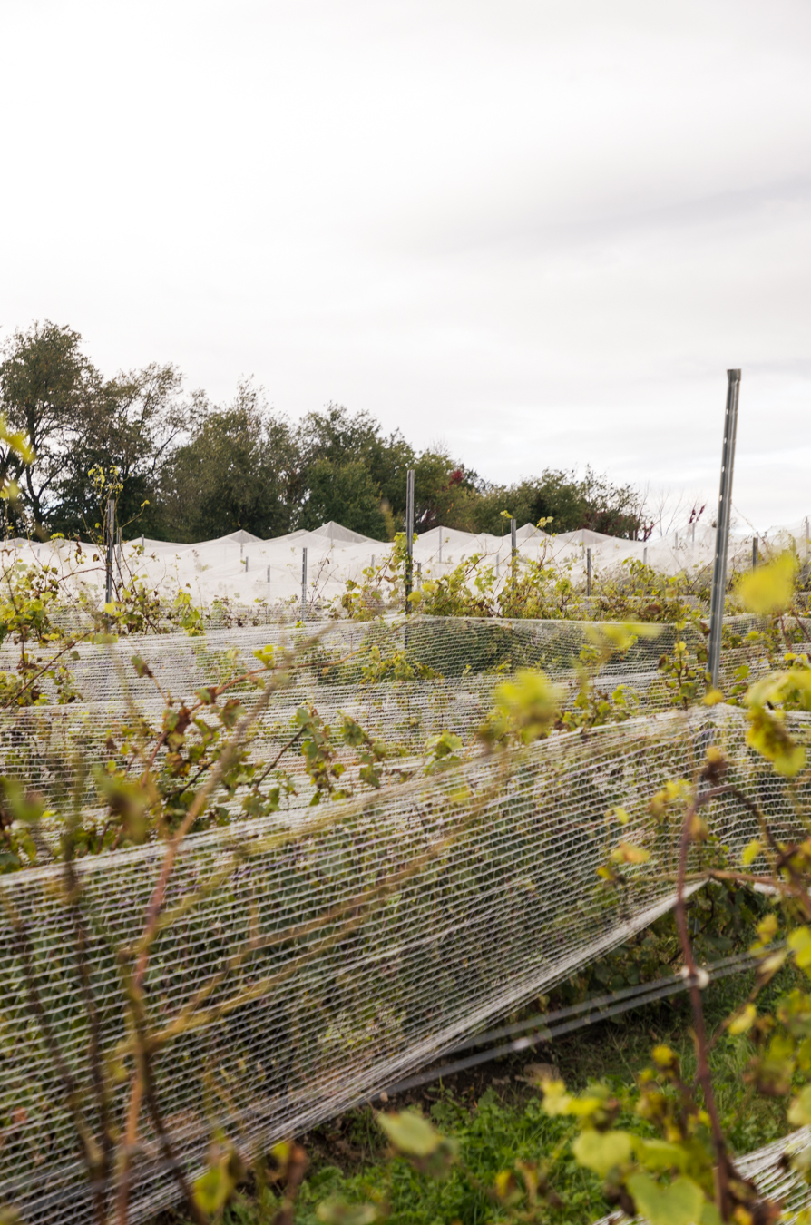Hayfield Farm Régénération Canada Farm Map