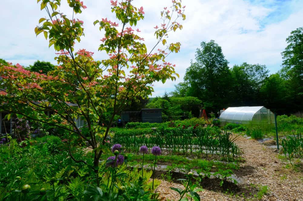 Nathan Fournier on The business side of regenerative landscaping and community restoration