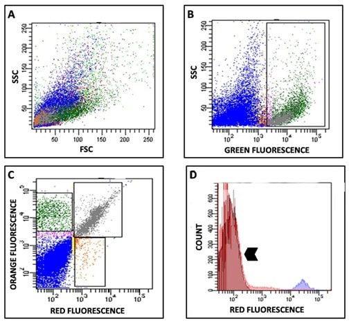 What Do All of these Stem Cell Numbers Mean? A DoctorPatient Guide What Do All of these Stem Cell Numbers Mean? A DoctorPatient Guide
