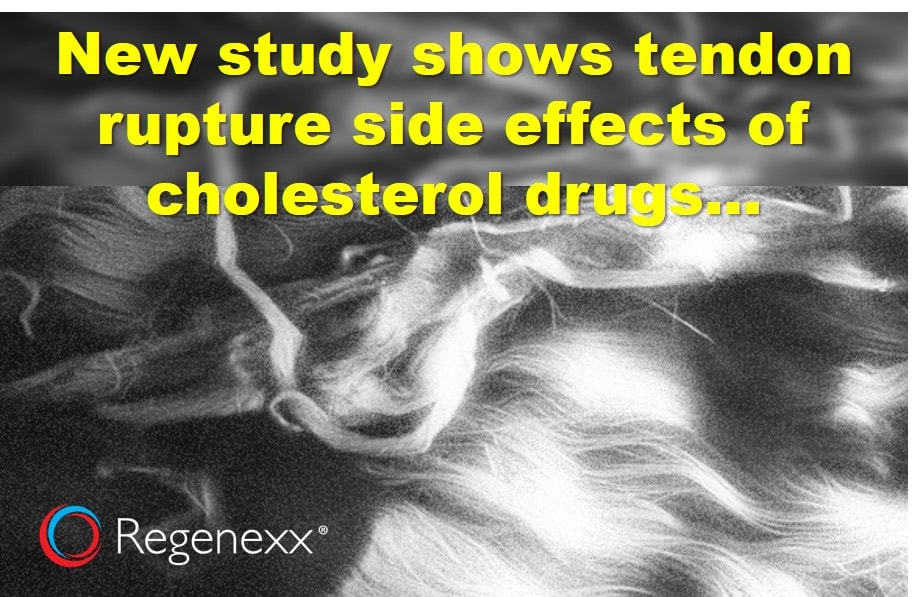 cholesterol drug tendon rupture