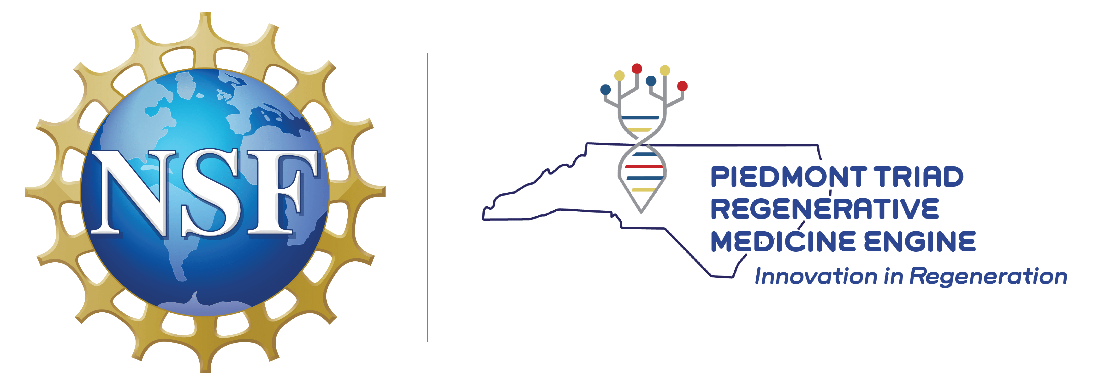 NSF Engines: Piedmont Triad Regenerative Medicine Engine – NSF Engines
