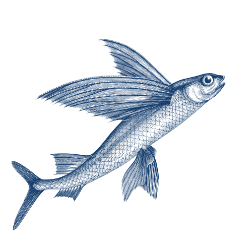 The Canal Building Regent's Wharf