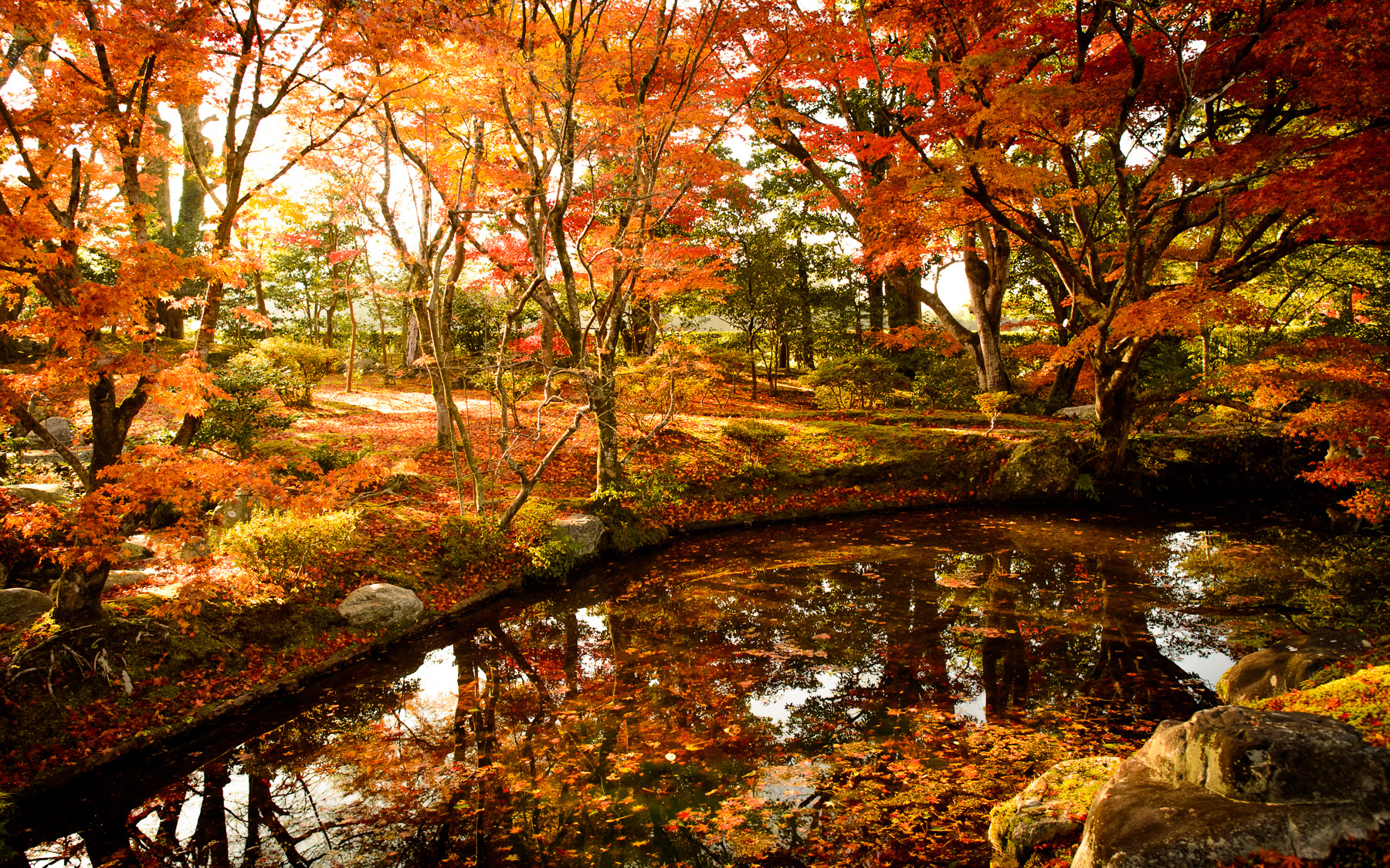 Kyoto Photo Shugakuin With Spectacular Fall Foliage Inside Kyoto