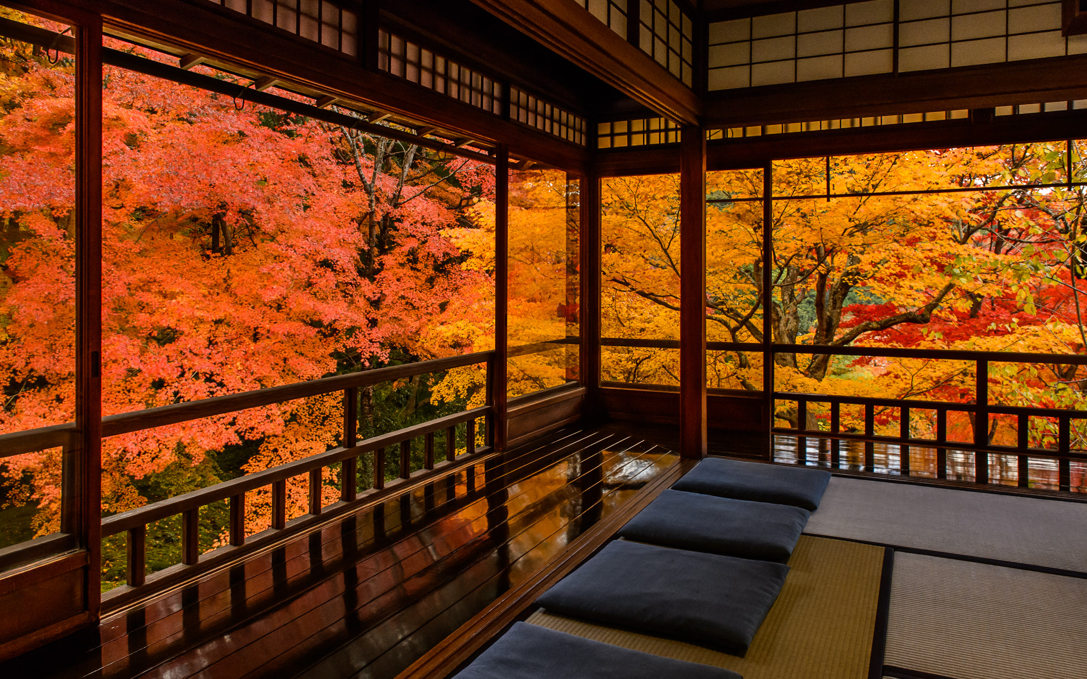 Kyoto Photo Fall Colors From Inside Rurikoin Temple Inside Kyoto