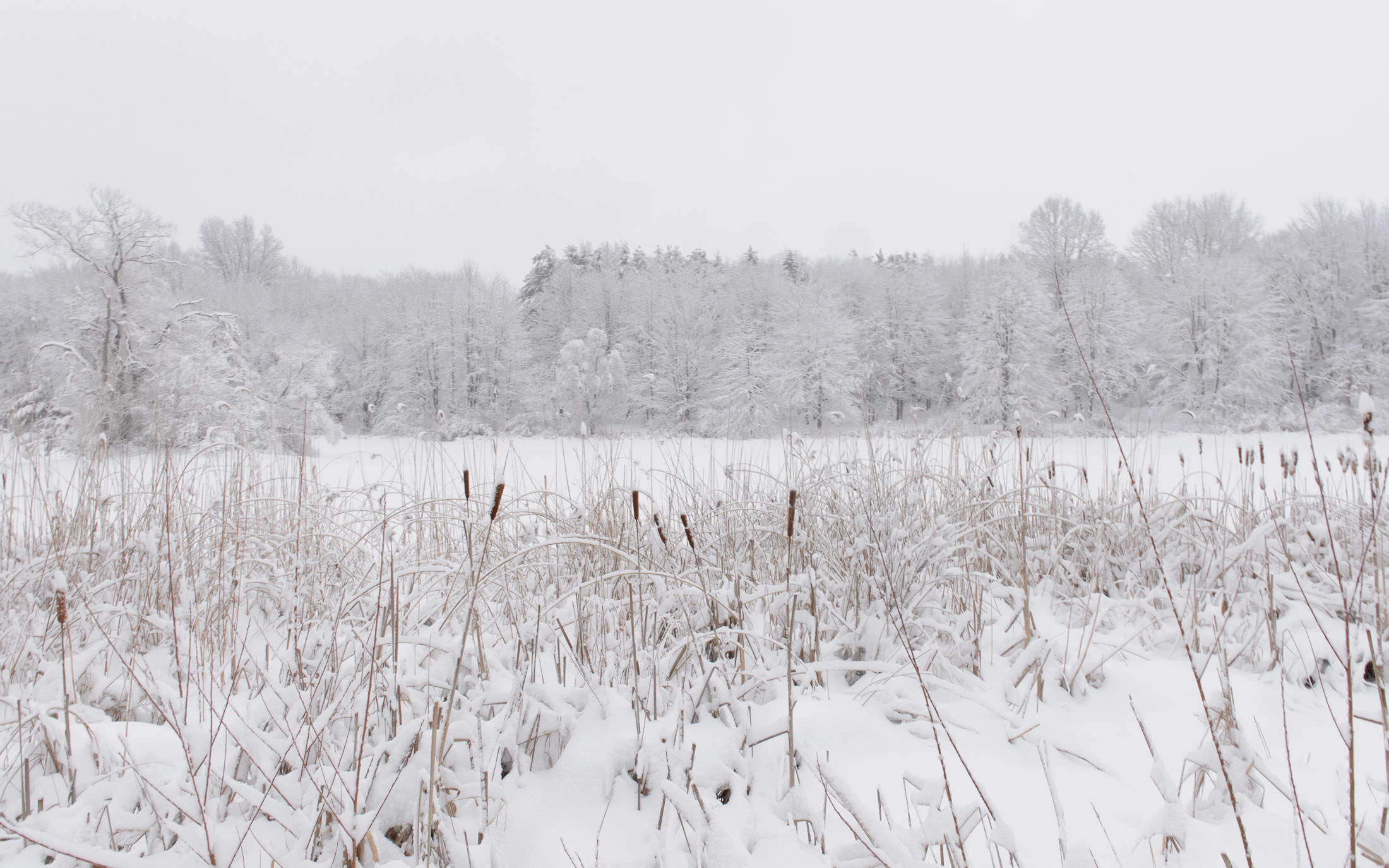 Jeffrey Friedl's Blog » Snowy Ohio Morning, Take 2