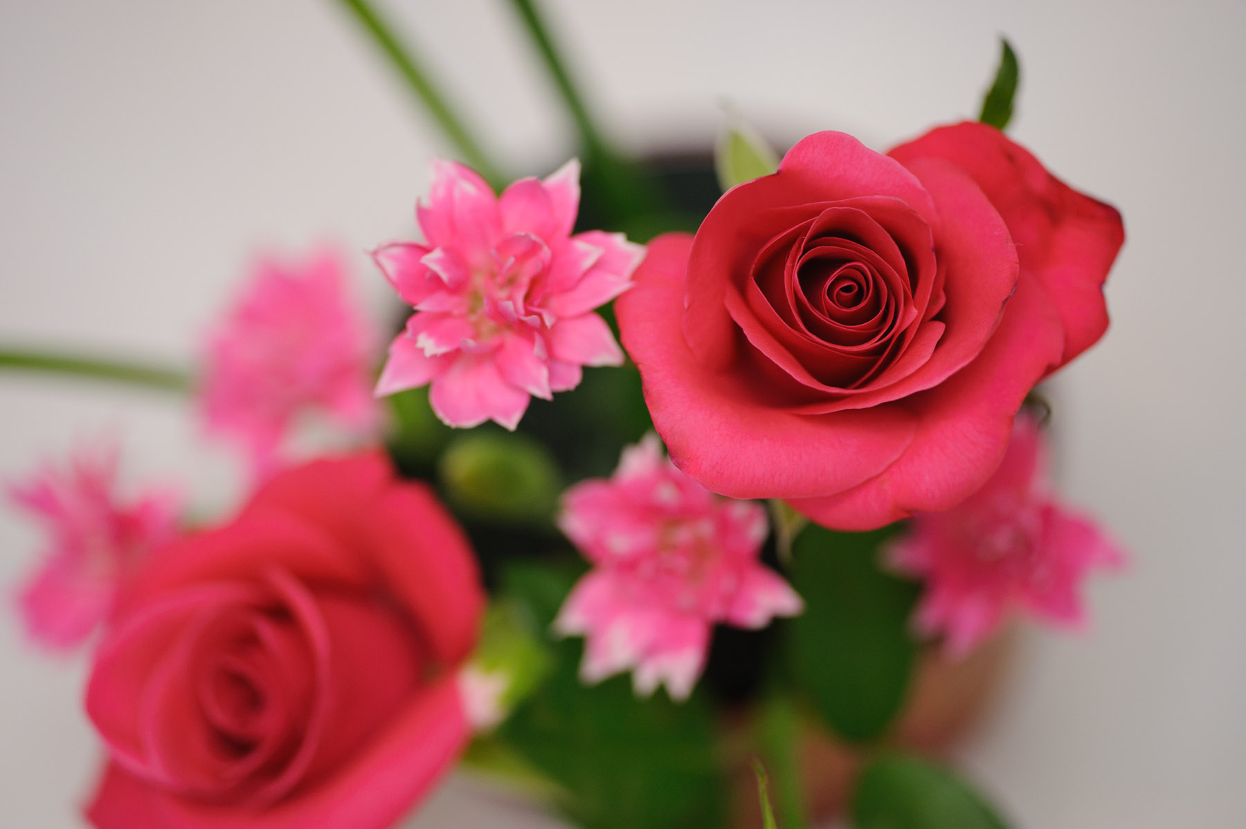 Jeffrey Friedl's Blog » Kids Flower Arranging Exhibition, Revisited