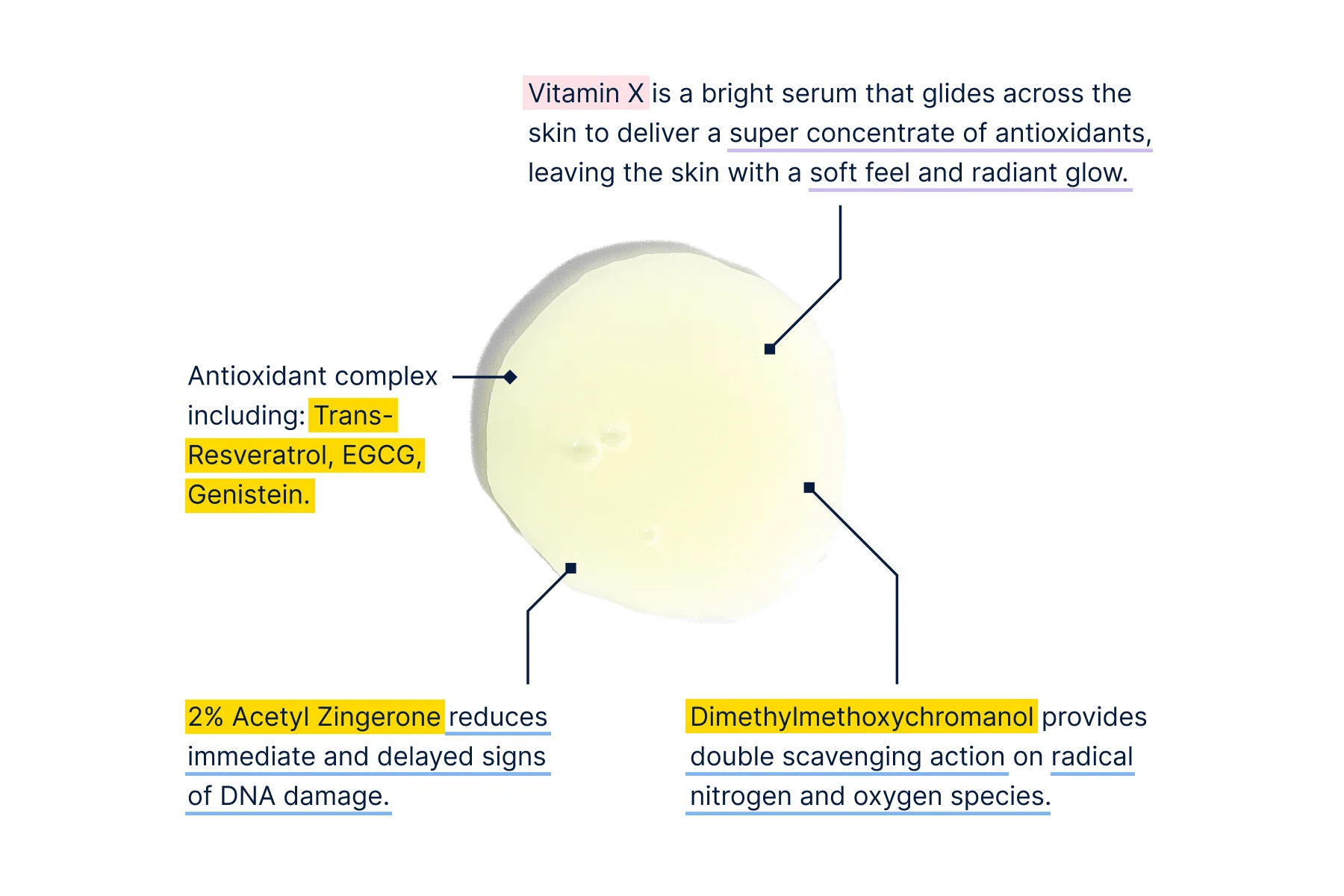 Antioxidant Complex Serum Vitamin X Regimen Lab Skincare