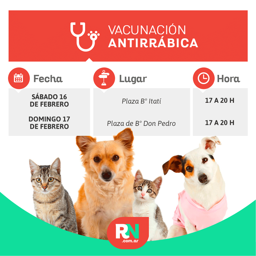 Vacunación de mascotas en el Quirófano Móvil