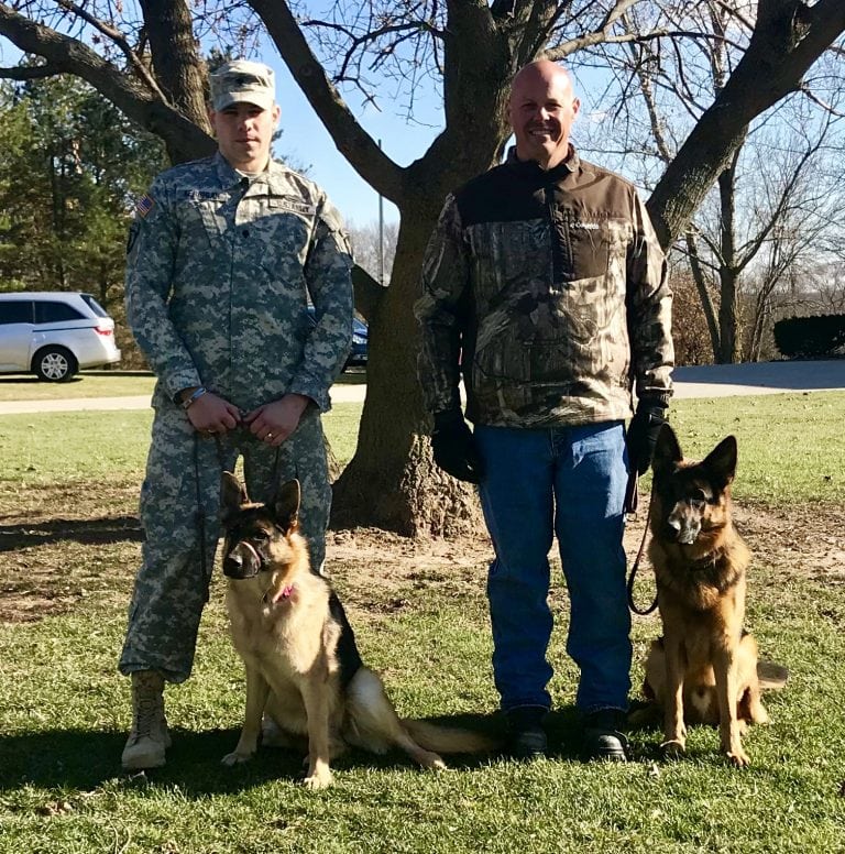 German Shepherds For Sale in Massachusetts Regis Regal