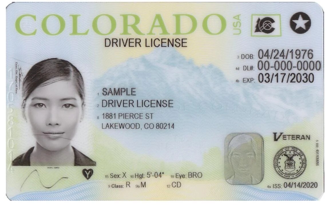 Order Colorado Driver License(04)