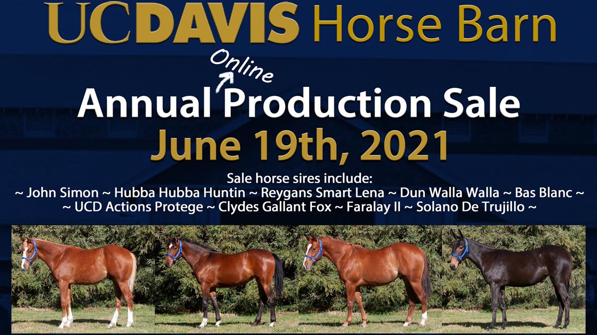 UC Davis Registration