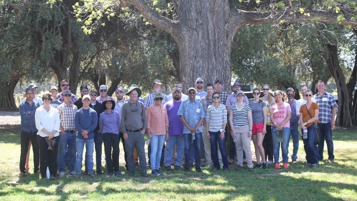 uc davis schedule 2023 UC Davis Registration